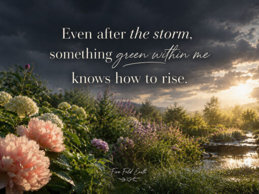 Even After the Storm: Trusting Your Inner Ability to Rise Even After the Storm: Trusting Your Inner Ability to Rise