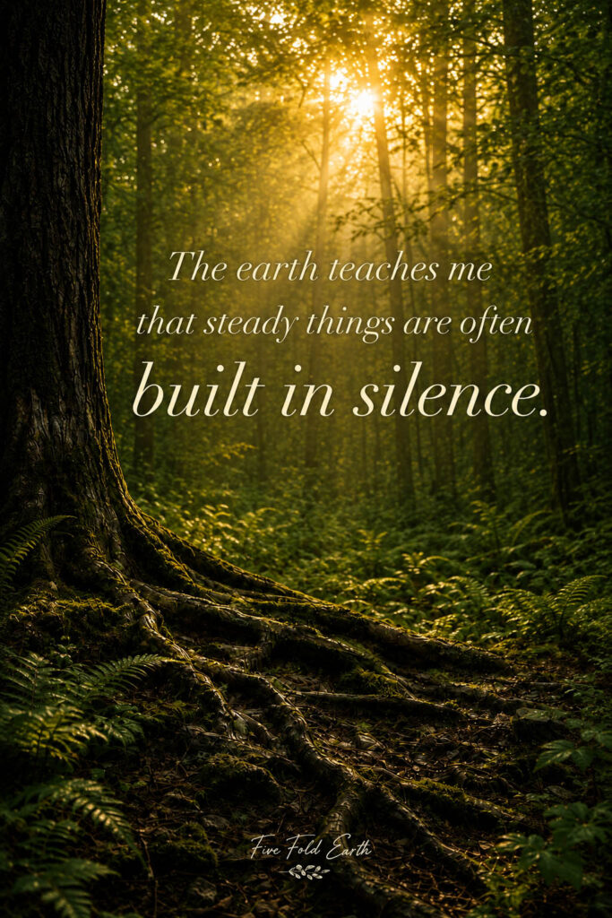 Growth affirmation with forest floor and roots showing how steady things are built in silence
