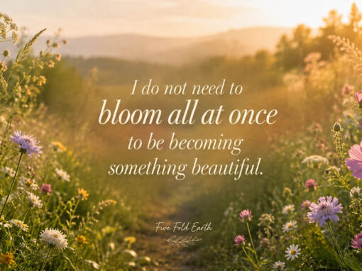 I Do Not Need to Bloom All at Once I Do Not Need to Bloom All at Once