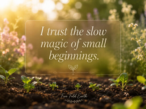 I Trust the Slow Magic of Small Beginnings I Trust the Slow Magic of Small Beginnings