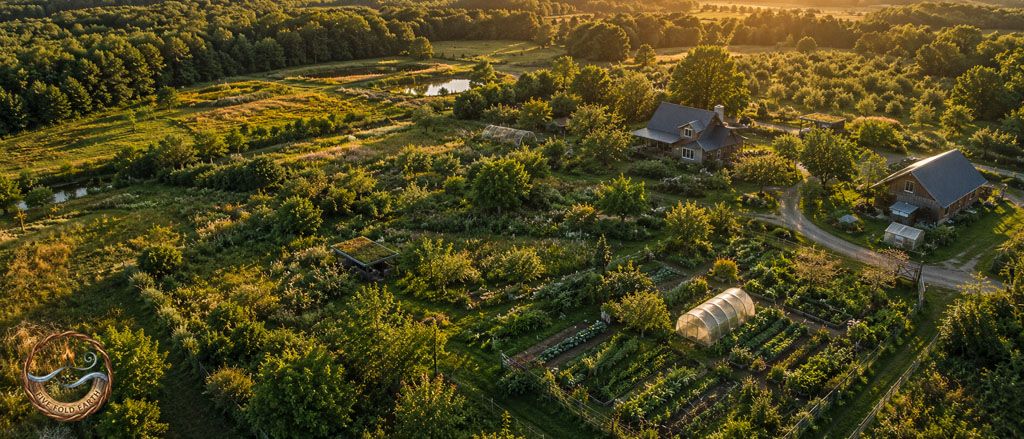 Sacred Rewilding for Homesteads and Large Properties