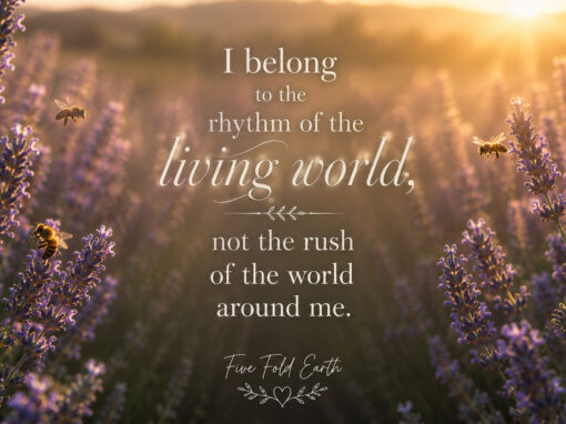 I Belong to the Rhythm of the Living World, Not the Rush of the World Around Me I Belong to the Rhythm of the Living World, Not the Rush of the World Around Me