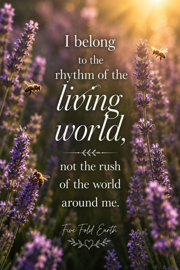 I belong to the rhythm of the living world nature affirmation wallpaper lockscreen