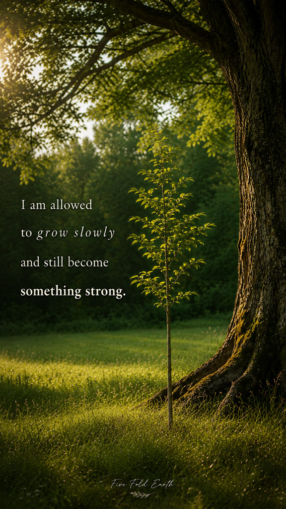 Im allowed to grow slowly - Wallpaper