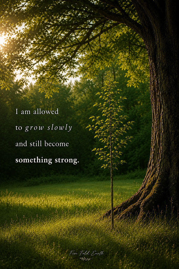 Im allowed to grow slowly - Wallpaper