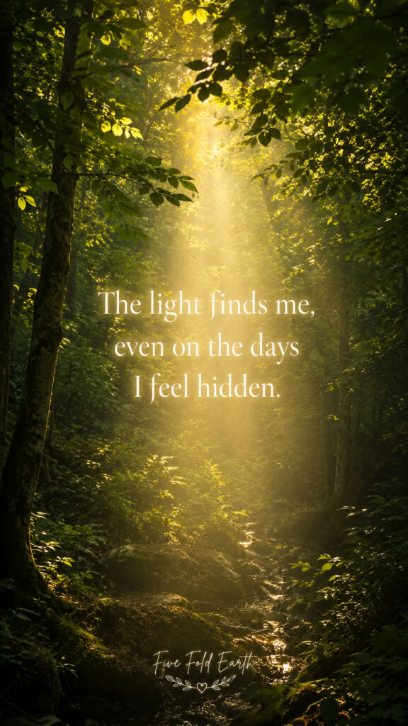 The light finds me
