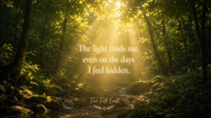 The light finds me - desktop