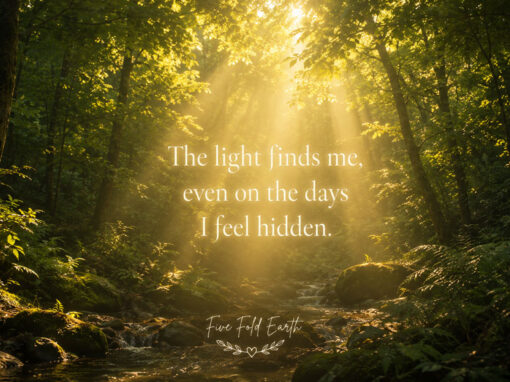 The Light Finds Me Even on the Days I Feel Hidden The Light Finds Me Even on the Days I Feel Hidden